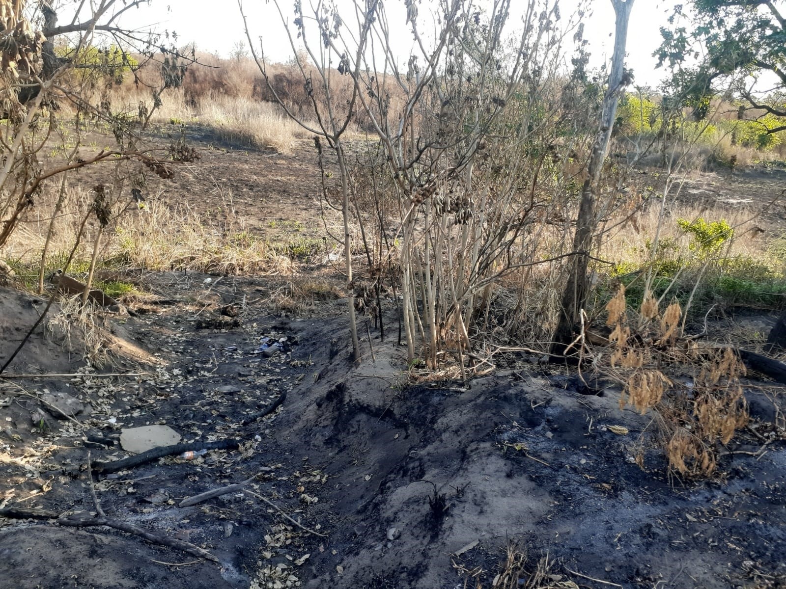 Donde pasa el fuego, no queda más nada que tierra arrasada.