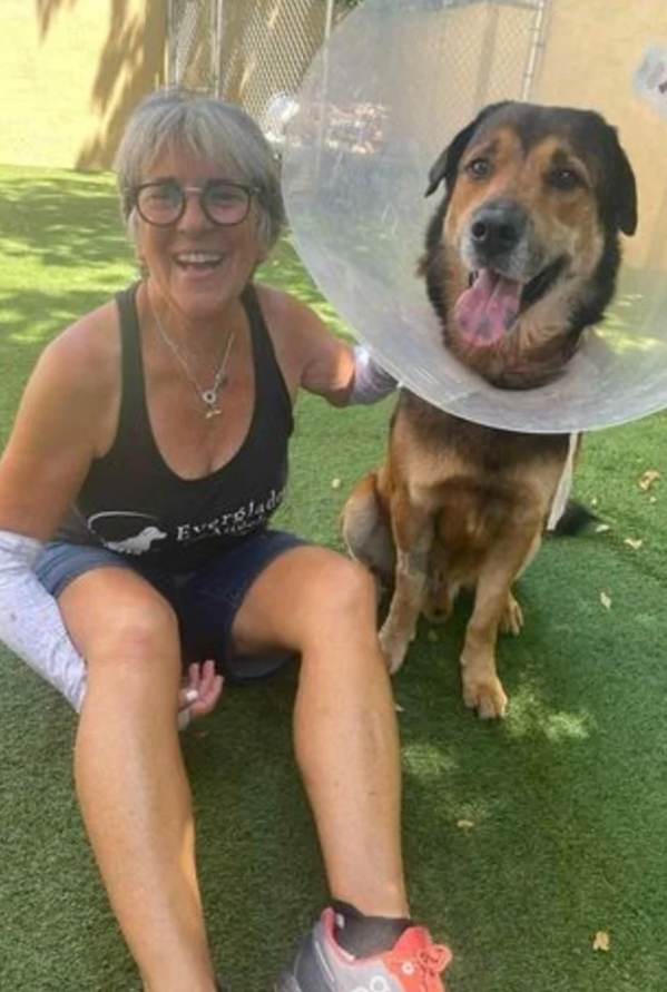 El perro Salvatore ya está recuperado y con una nueva familia.