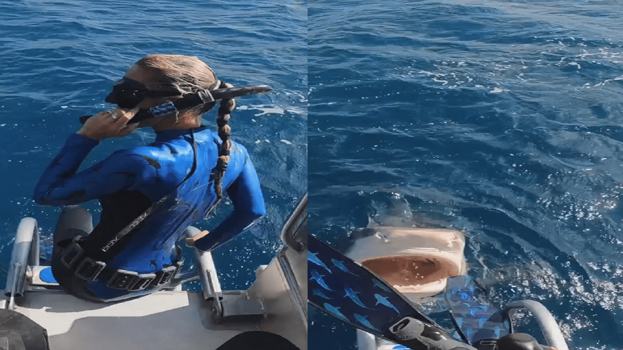 Una científica estadounidense se salvó de ser comida por un tiburón.