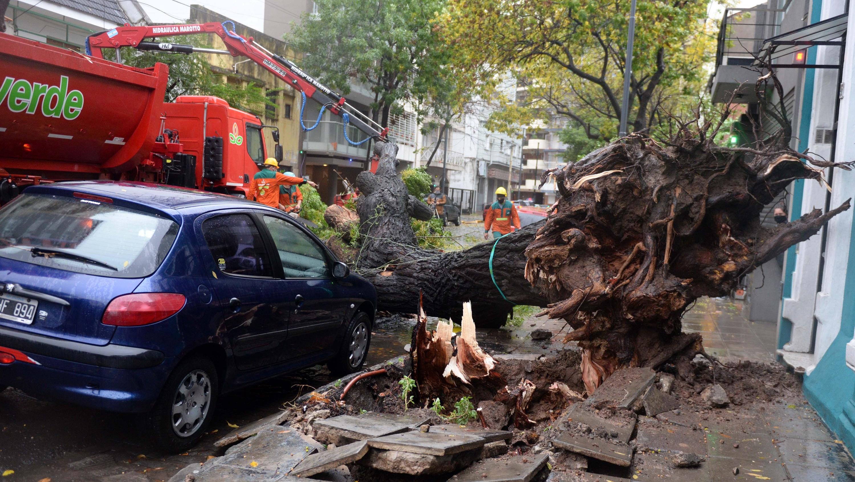 Alerta meteorológica nivel amarillo en cuatro provincias por fuertes vientos. (Archivo Crónica/Nahuel Ventura)