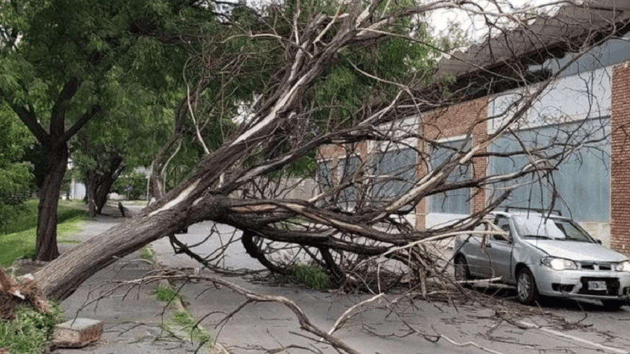 Alerta meteorológica nivel amarillo en 3 provincias: prevén tormentas severas, ráfagas de viento, intensa actividad eléctrica y caída de granizo