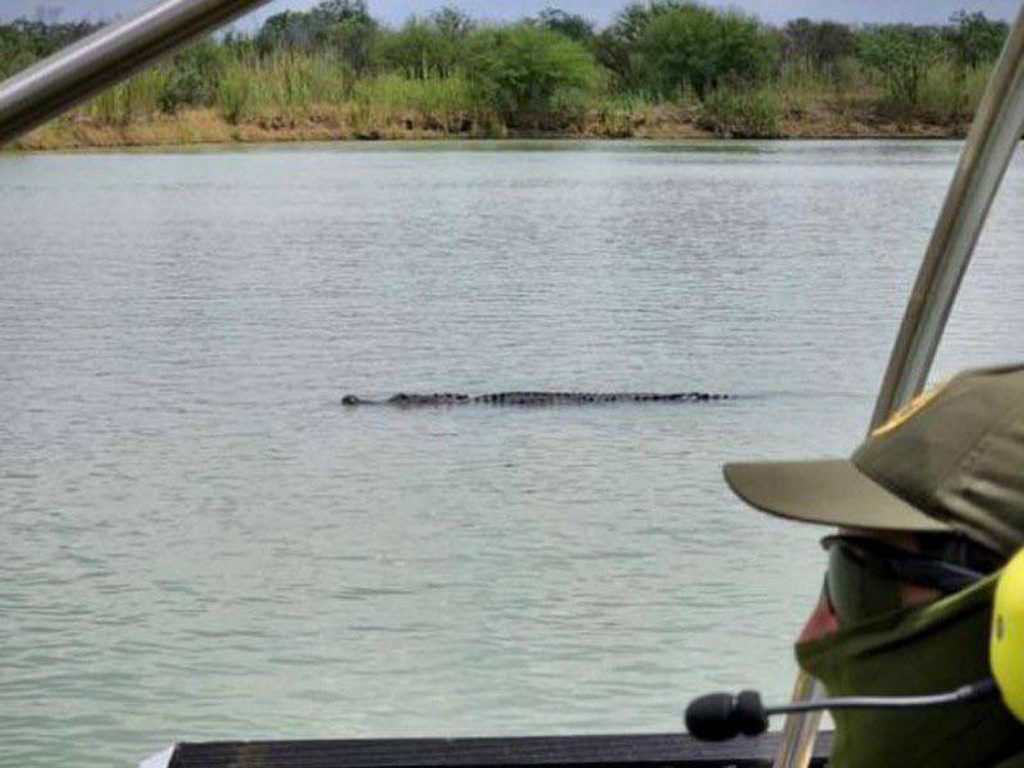 Rescatistas buscan al cocodrilo que atacó al menor.