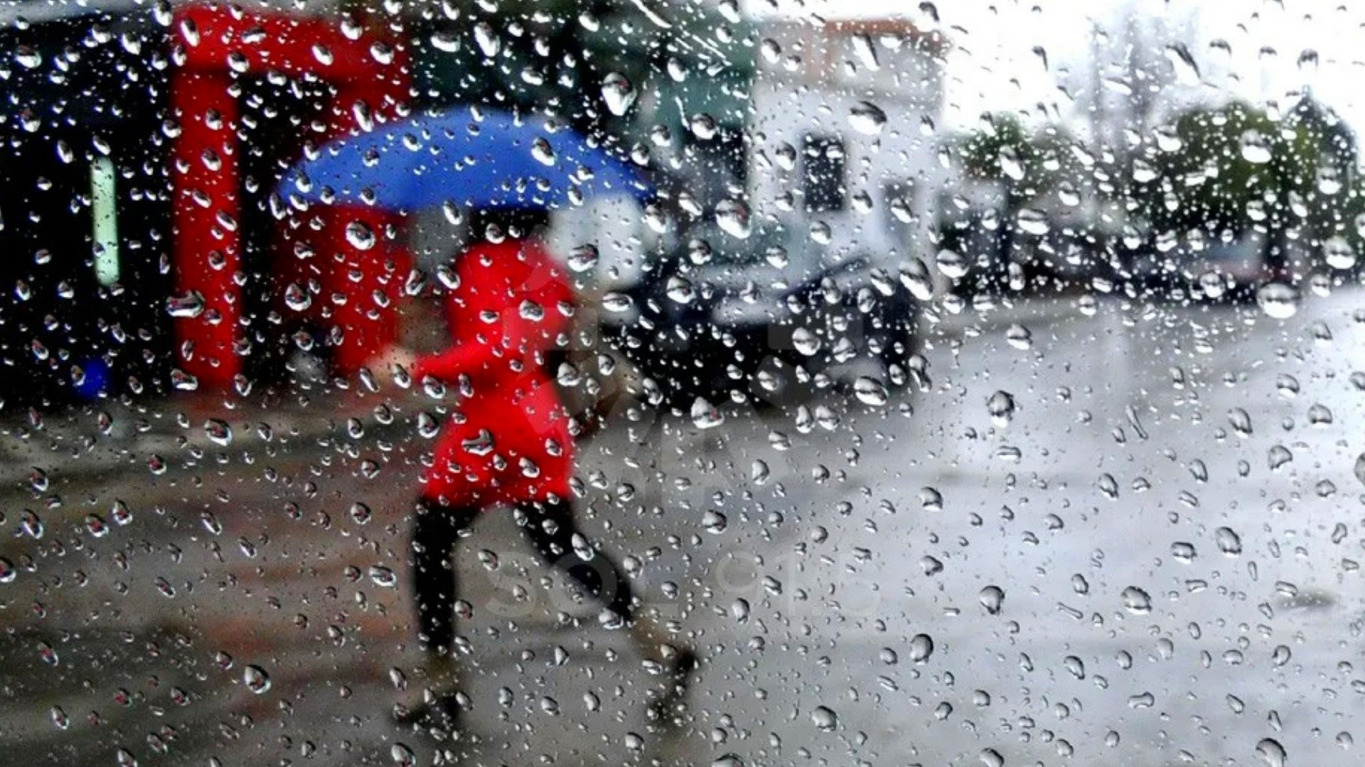 Alerta amarilla por tormentas en casi todo el país.