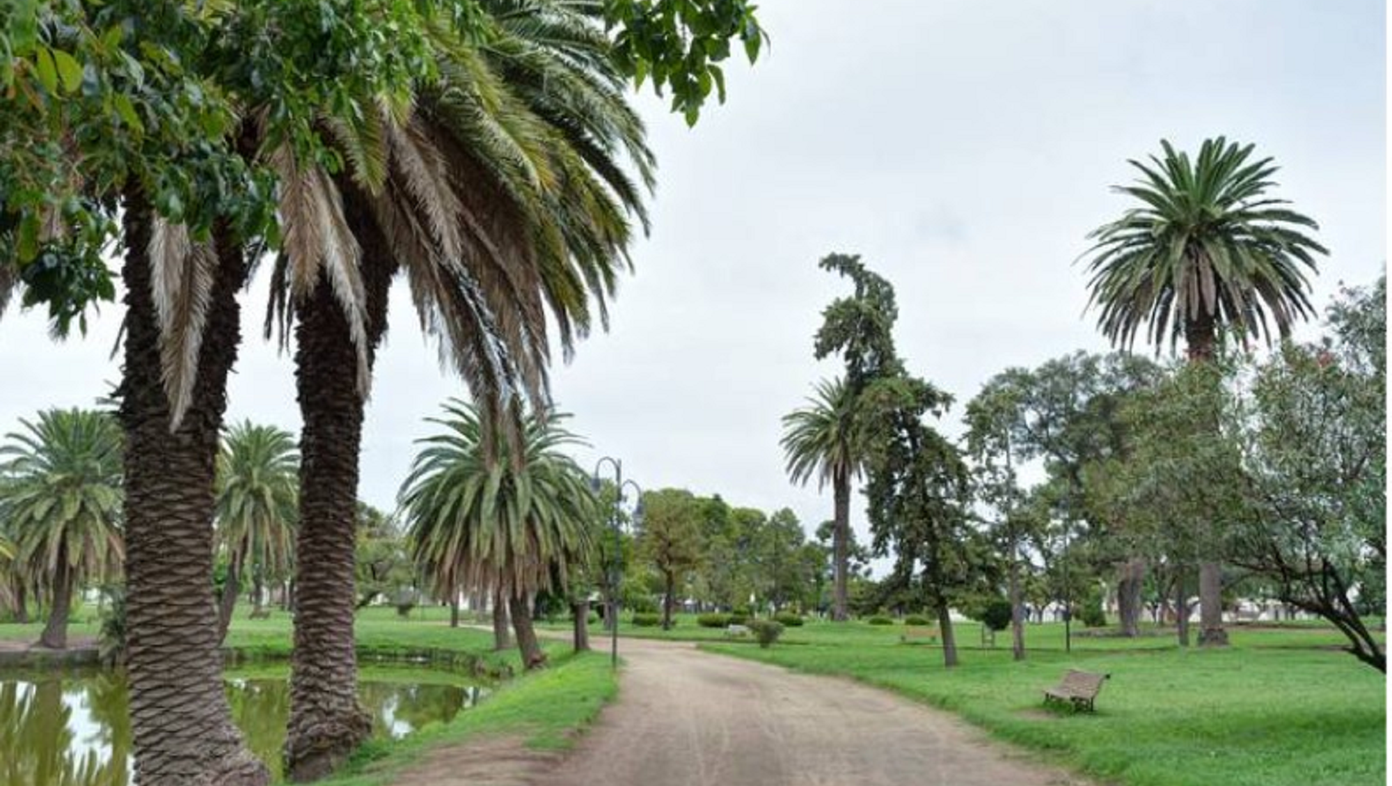 Pehuajó: la localidad donde la tranquilidad y la aventura son los principales atractivos. 