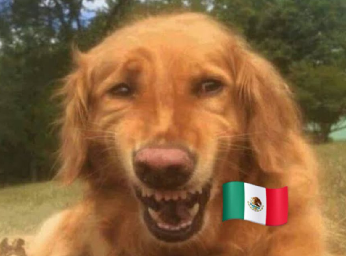 Los memes antes del choque entre Argentina y México en el   <a href='https://www.cronica.com.ar/tags/Mundial Qatar 2022'>Mundial Qatar 2022</a> (Twitter).