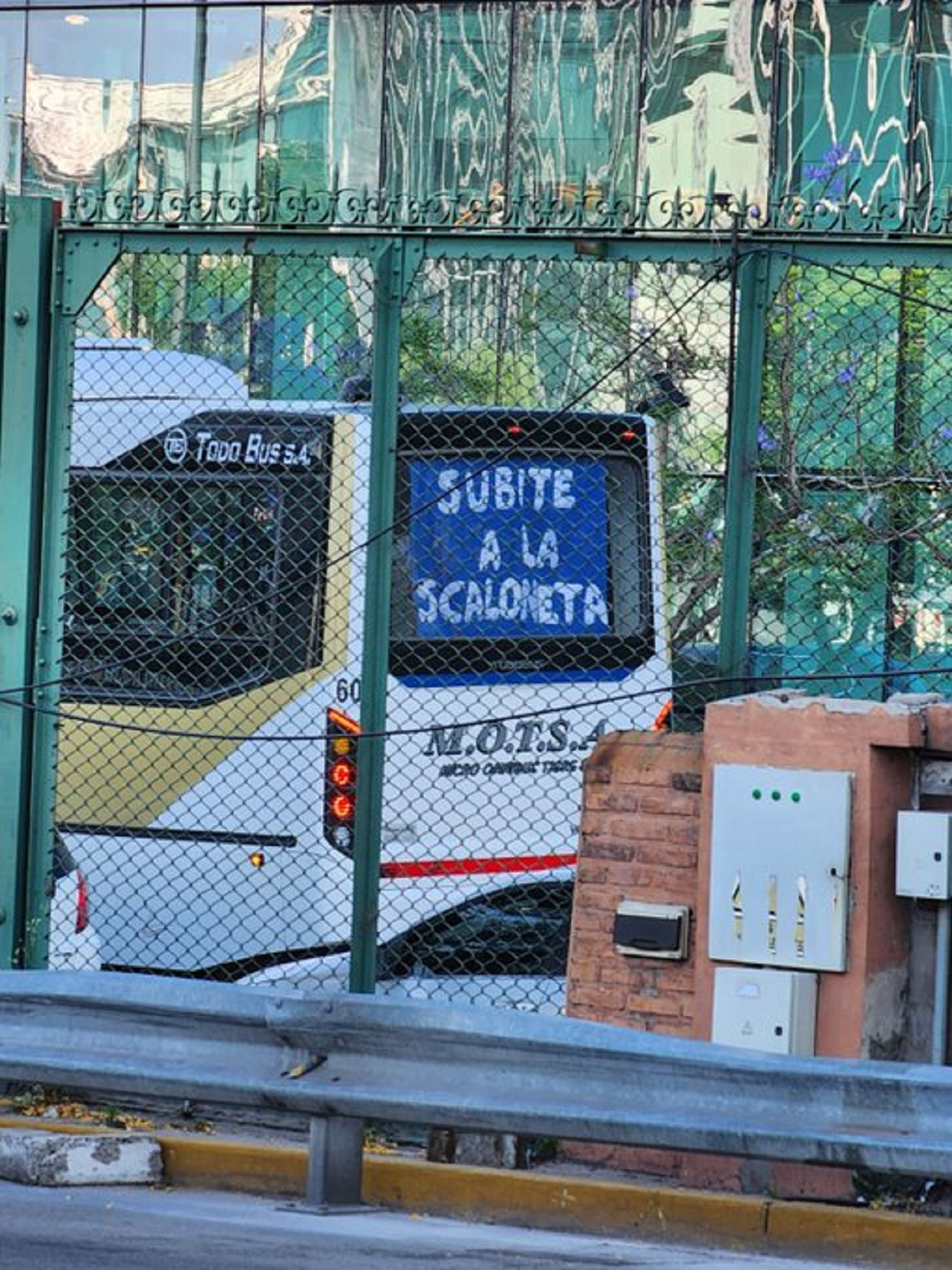 La imagen que sumó una usuaria de Twitter que vio el colectivo decorado.