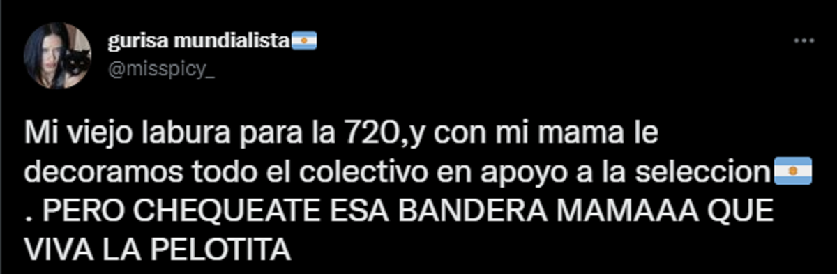 El tuit de la joven que contó que decoró el colectivo que maneja su papá.