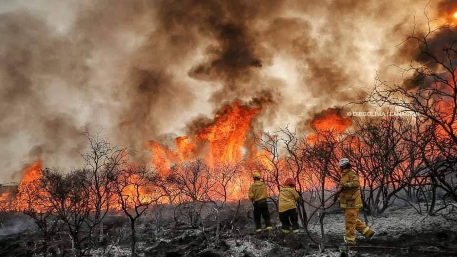 Brigadistas locales, con ayuda de aviones hidrantes, continúan luchando contra los incendios.