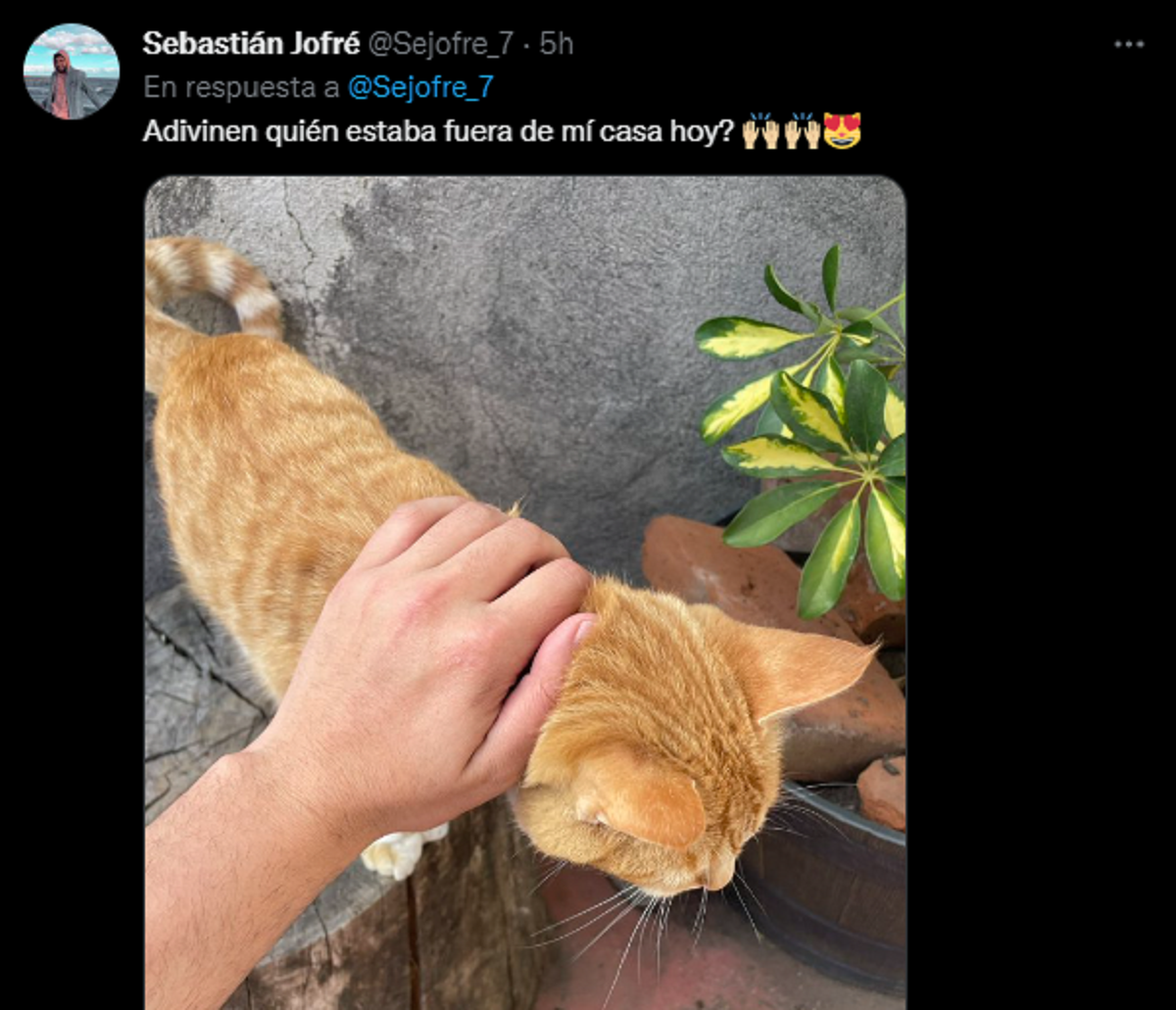 El joven aseguró que el gato lo visita bastante seguido.