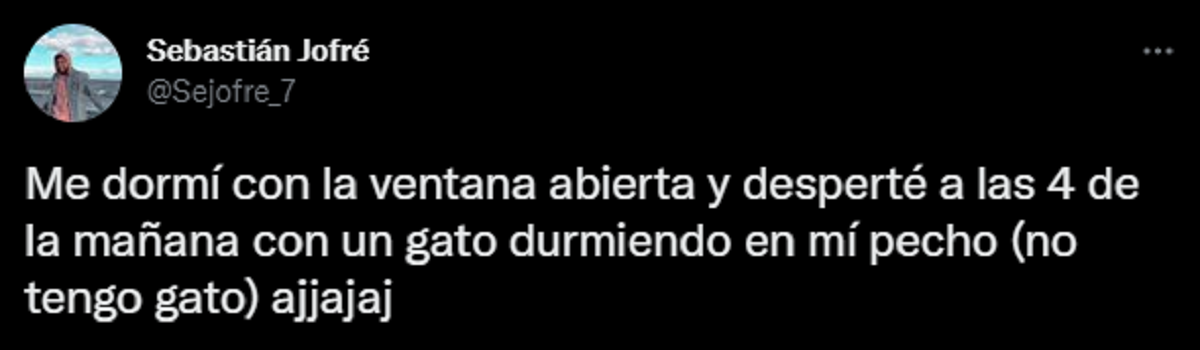 El tuit del joven que compartió la secuencia que pasó con un gato.