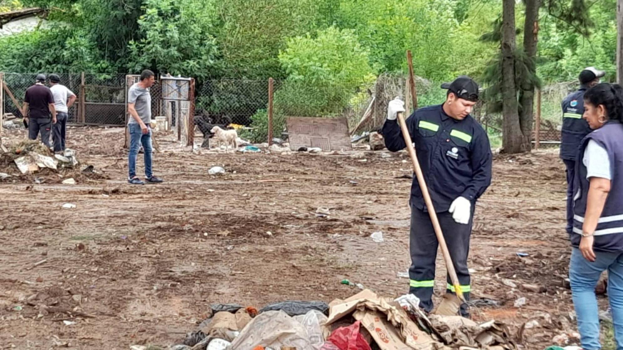 La Municipalidad de Escobar colaboró con el rescate de 50 perros que vivían en pésimas condiciones en una casa de Maschwitz.