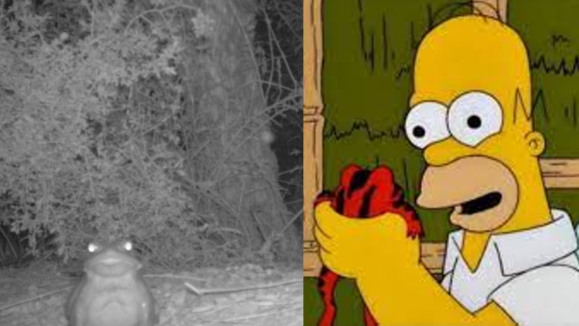 Homero Simpson experimentó los efectos secundarios de esta sustancia en uno de los capítulos de la serie animada.