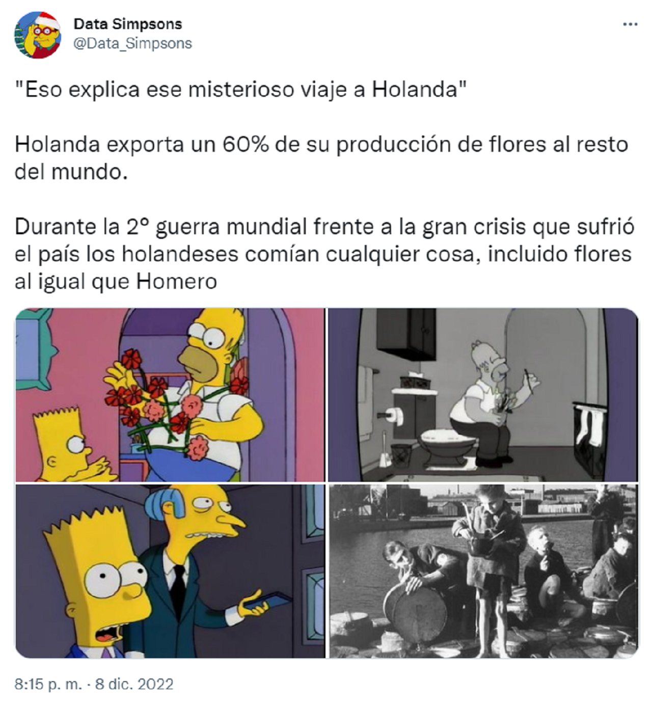 La explicación sobre el 'misterioso' viaje de Homero Simpson a Holanda (Twitter/@Data_Simpsons).