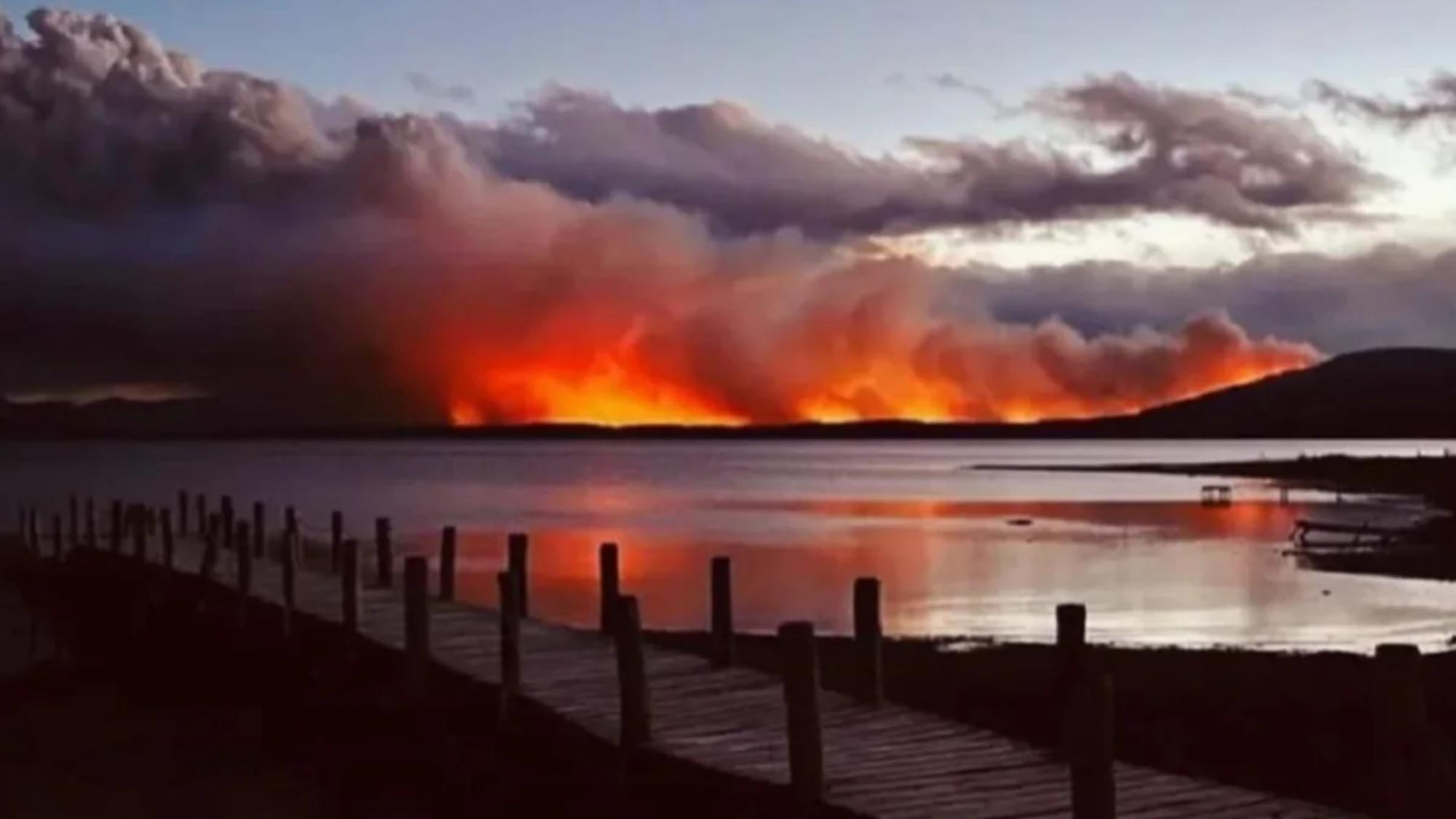 Preocupación por incendio forestal en Tierra del Fuego.