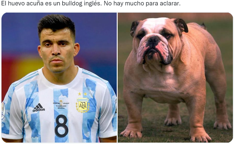 Los futbolistas argentinos del Mundial Qatar 2022 comparados con perros son furor en las redes sociales (Twitter/@valentingomez11). 