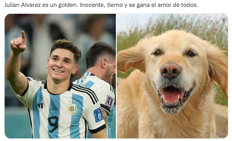 Los futbolistas argentinos del Mundial Qatar 2022 comparados con perros son furor en las redes sociales (Twitter/@valentingomez11). 