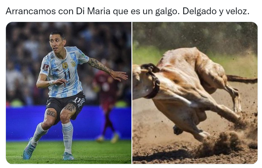 Los futbolistas argentinos del   <a href='https://www.cronica.com.ar/tags/Mundial Qatar 2022'>Mundial Qatar 2022</a> comparados con perros son furor en las redes sociales (Twitter/@valentingomez11). 