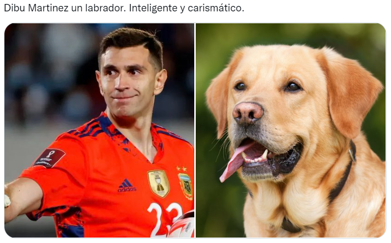 Los futbolistas argentinos del Mundial Qatar 2022 comparados con perros son furor en las redes sociales (Twitter/@valentingomez11). 