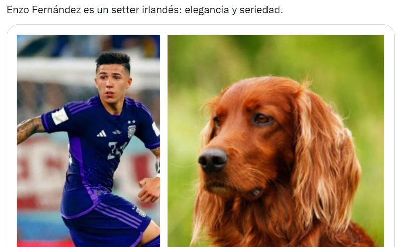 Los futbolistas argentinos del Mundial Qatar 2022 comparados con perros son furor en las redes sociales (Twitter/@valentingomez11). 