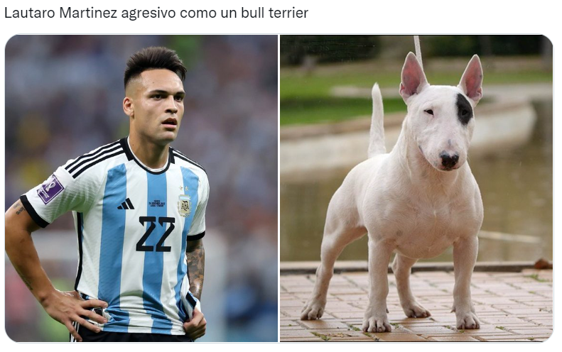 Los futbolistas argentinos del Mundial Qatar 2022 comparados con perros son furor en las redes sociales (Twitter/@valentingomez11). 