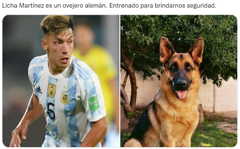 Los futbolistas argentinos del Mundial Qatar 2022 comparados con perros son furor en las redes sociales (Twitter/@valentingomez11). 