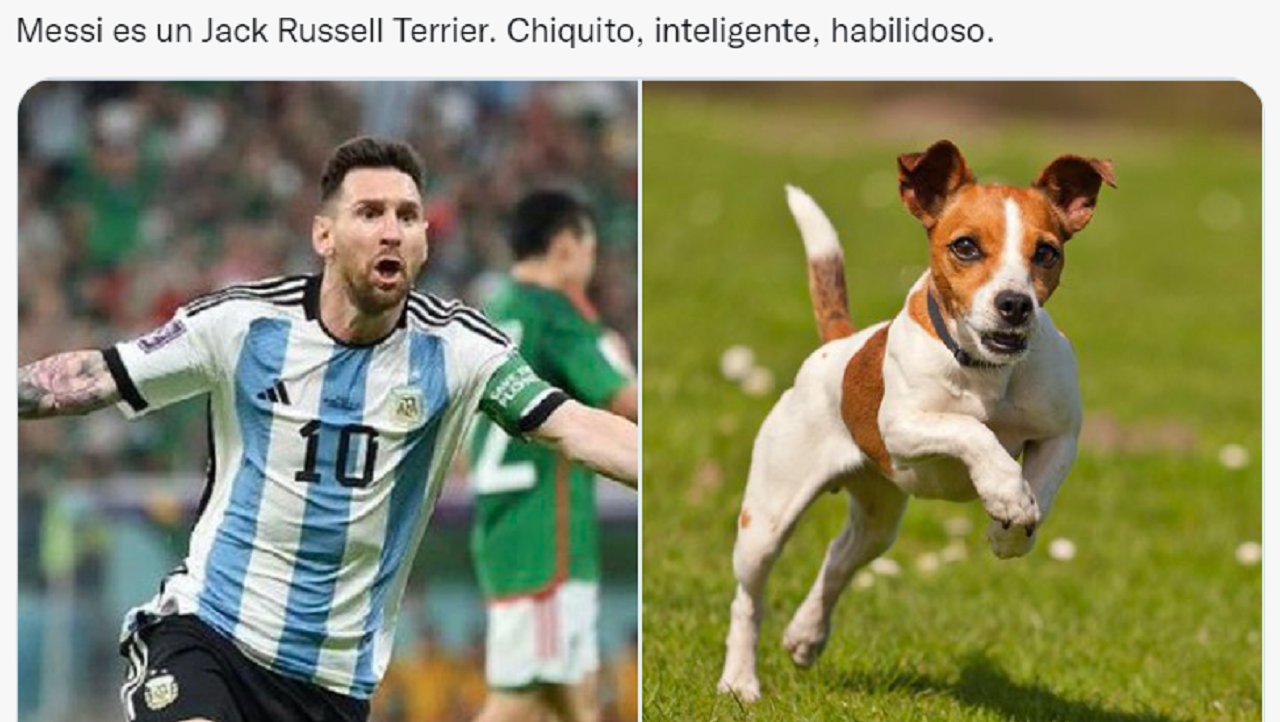 Los futbolistas argentinos del Mundial Qatar 2022 comparados con perros son furor en las redes sociales (Twitter/@valentingomez11). 