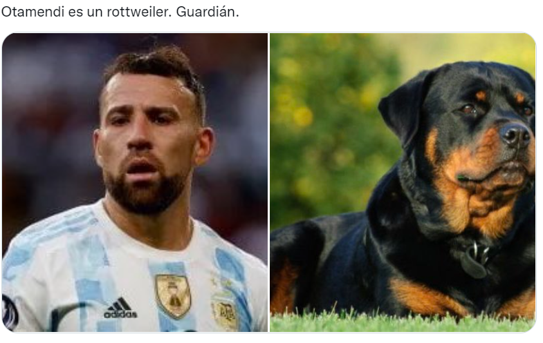 Los futbolistas argentinos del Mundial Qatar 2022 comparados con perros son furor en las redes sociales (Twitter/@valentingomez11). 