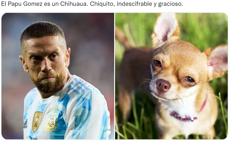 Los futbolistas argentinos del Mundial Qatar 2022 comparados con perros son furor en las redes sociales (Twitter/@valentingomez11). 