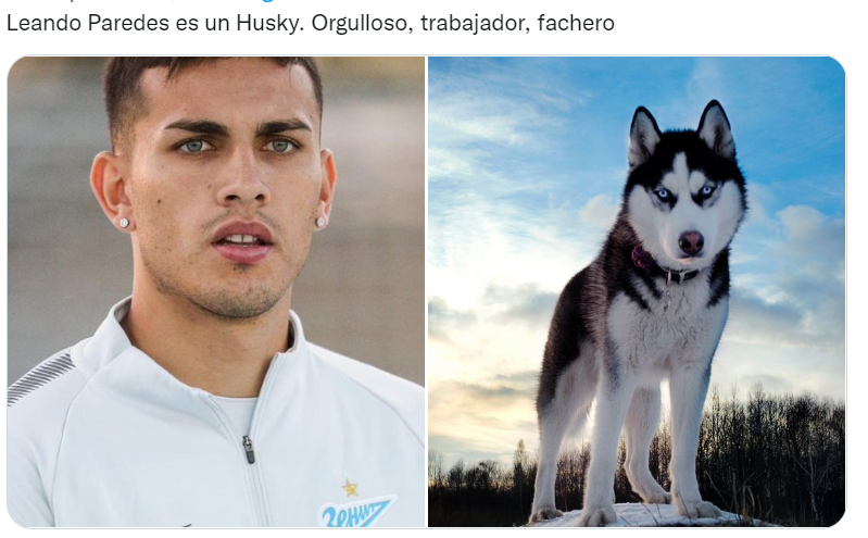 Los futbolistas argentinos del Mundial Qatar 2022 comparados con perros son furor en las redes sociales (Twitter/@valentingomez11). 