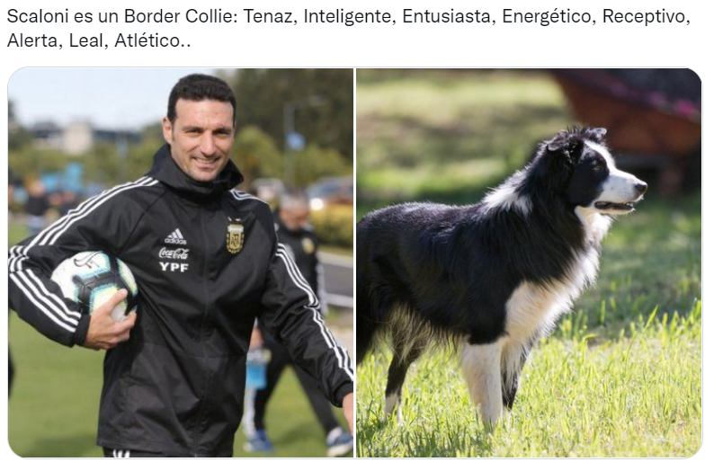 Los futbolistas argentinos del Mundial Qatar 2022 comparados con perros son furor en las redes sociales (Twitter/@valentingomez11). 