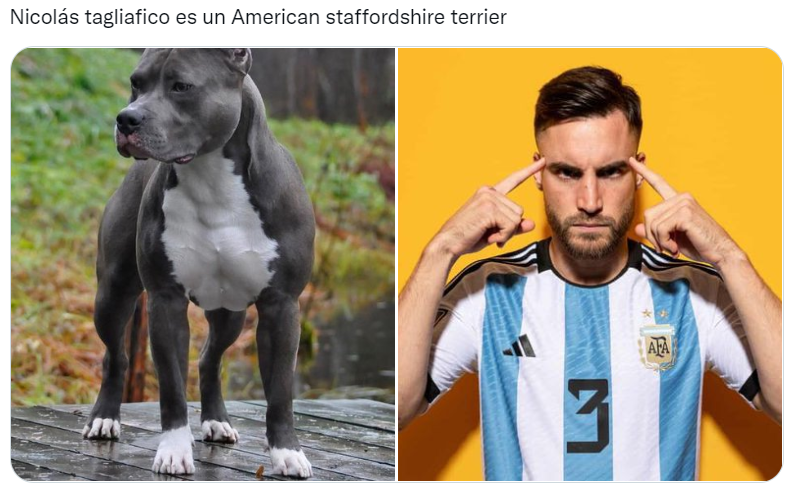 Los futbolistas argentinos del Mundial Qatar 2022 comparados con perros son furor en las redes sociales (Twitter/@valentingomez11). 