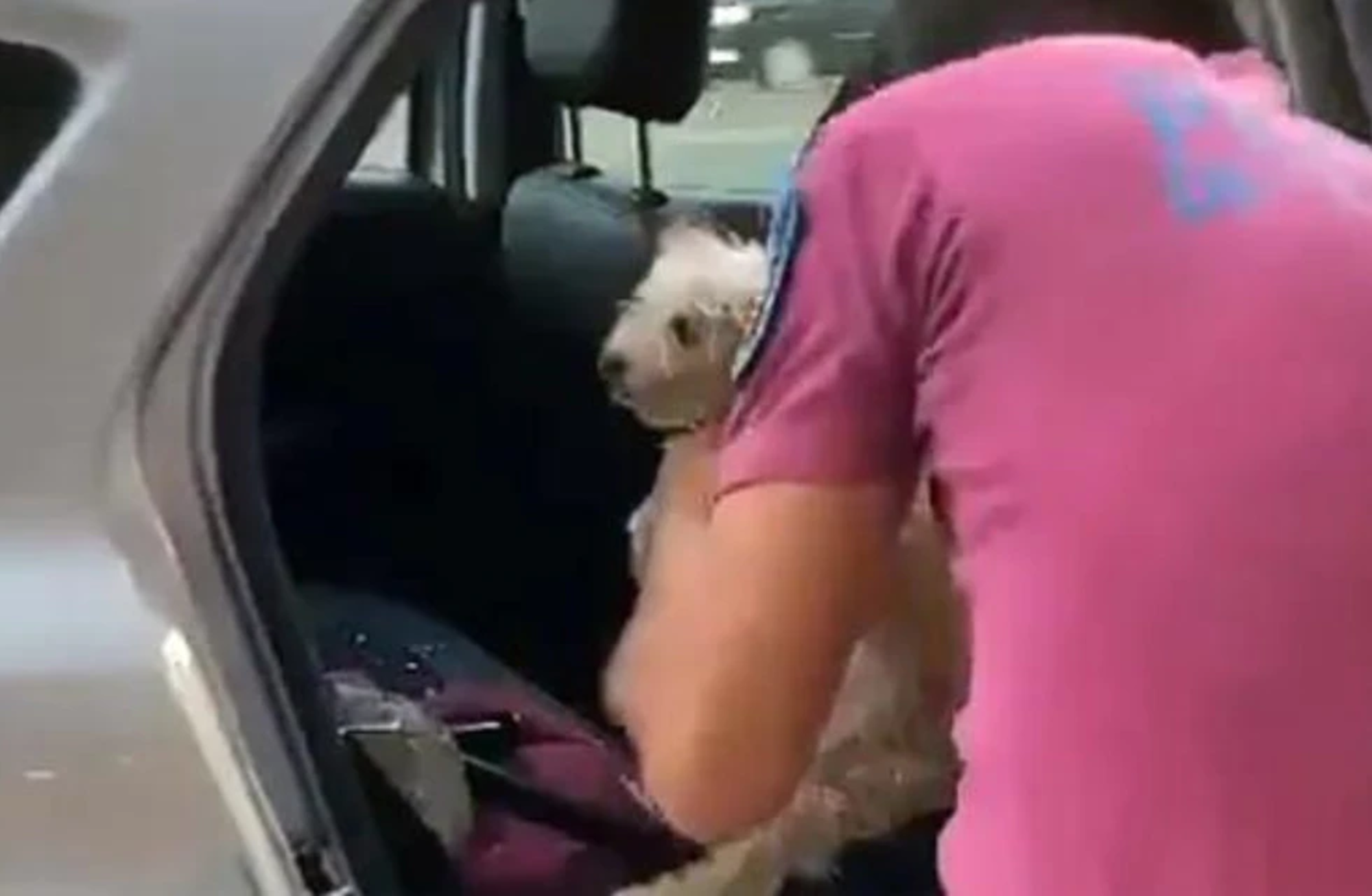 El momento en el que el policía rescata a la mascota encerrada en un auto.