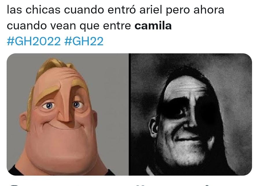 Los mejores memes por la entrada de Camila y Ariel a la casa de Gran Hermano (Twitter).