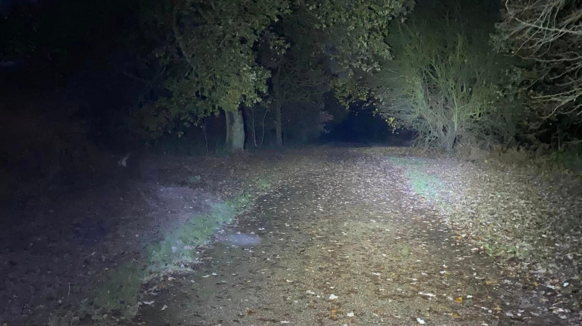 El Clumber Park, donde creen haber visto el fantasma de la 