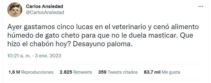 El tuit viral de un gato que se llenó de historias similares (Twitter/CarlosAnsiedad).