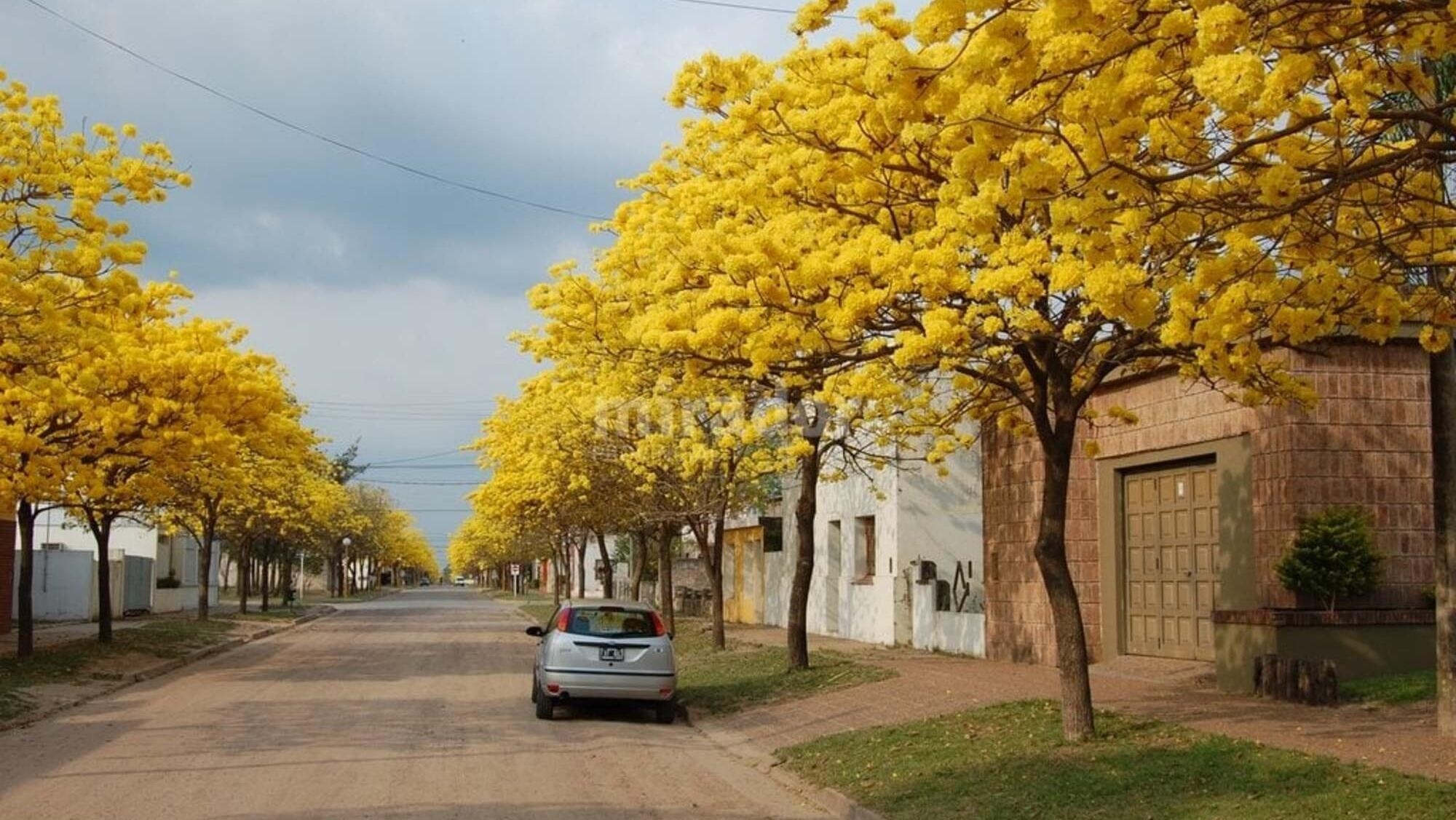 Escapada: el lugar ideal para ir de camping y disfrutar a pleno de la naturaleza.