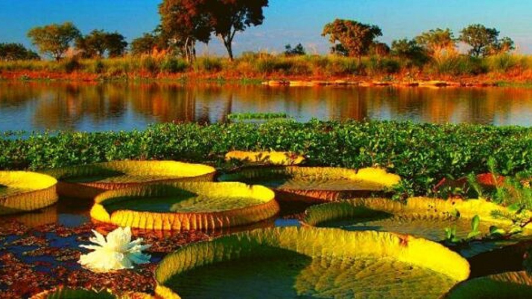 Jaaukanigás un oasis natural dentro de Santa Fe.  