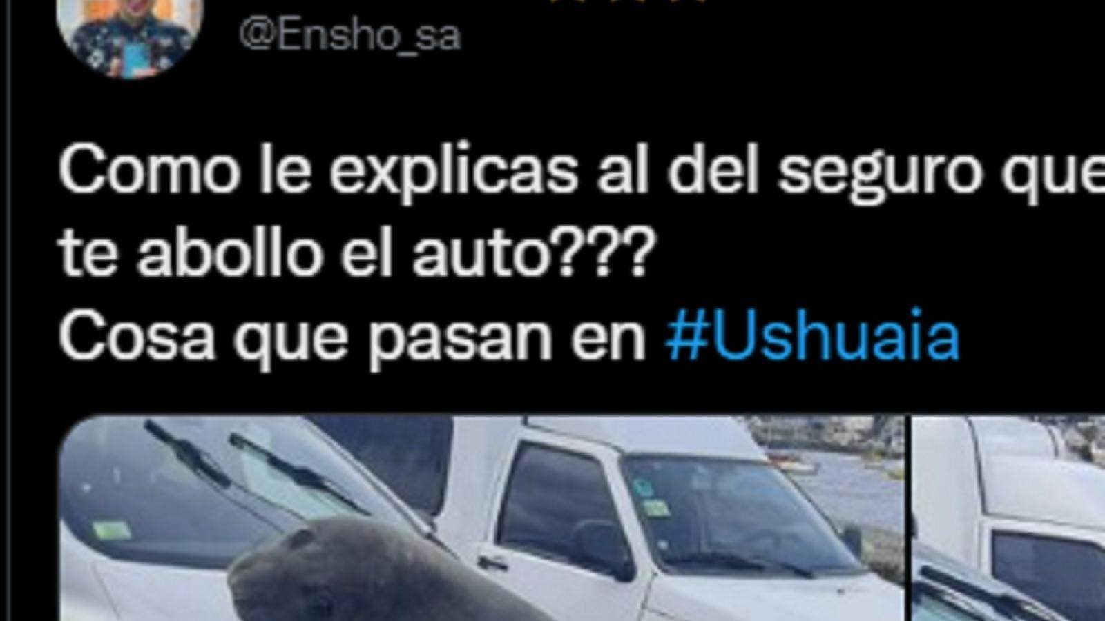 Al regresar a buscar su auto. no podía creer con lo que se encontró 