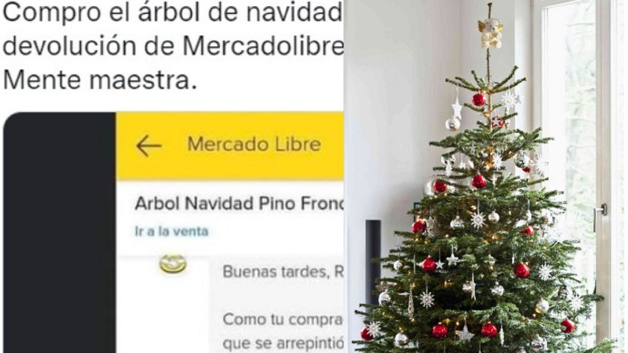 Quiso devolver el árbol de navidad después de las fiestas y se hizo viral. 