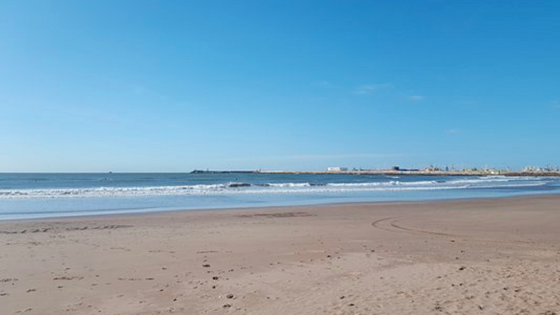 La aparición de una medusa gigante causó pánico en Mar del Plata. (Imagen ilustrativa)