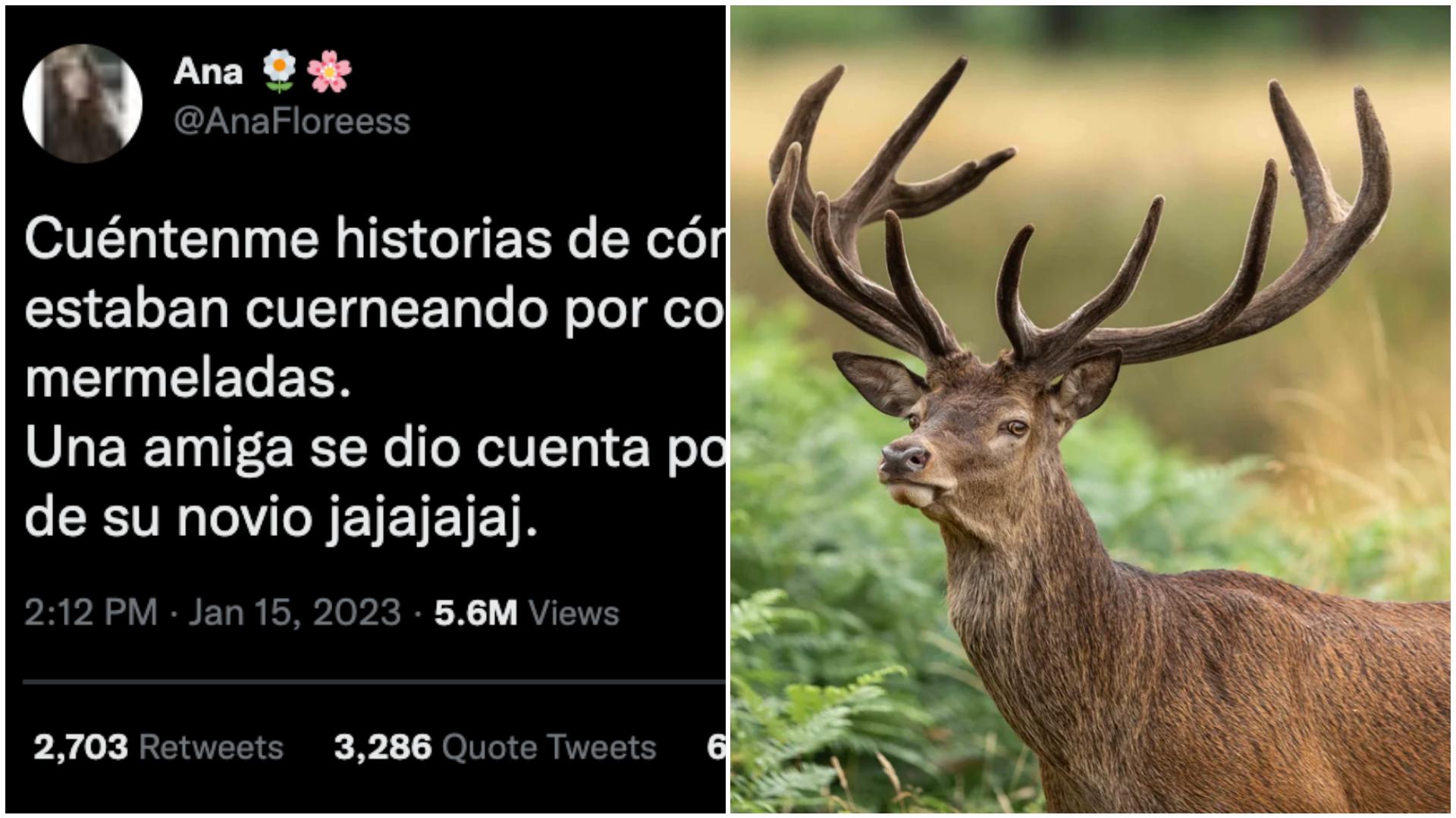 Cientos de usuarios de Twitter se 