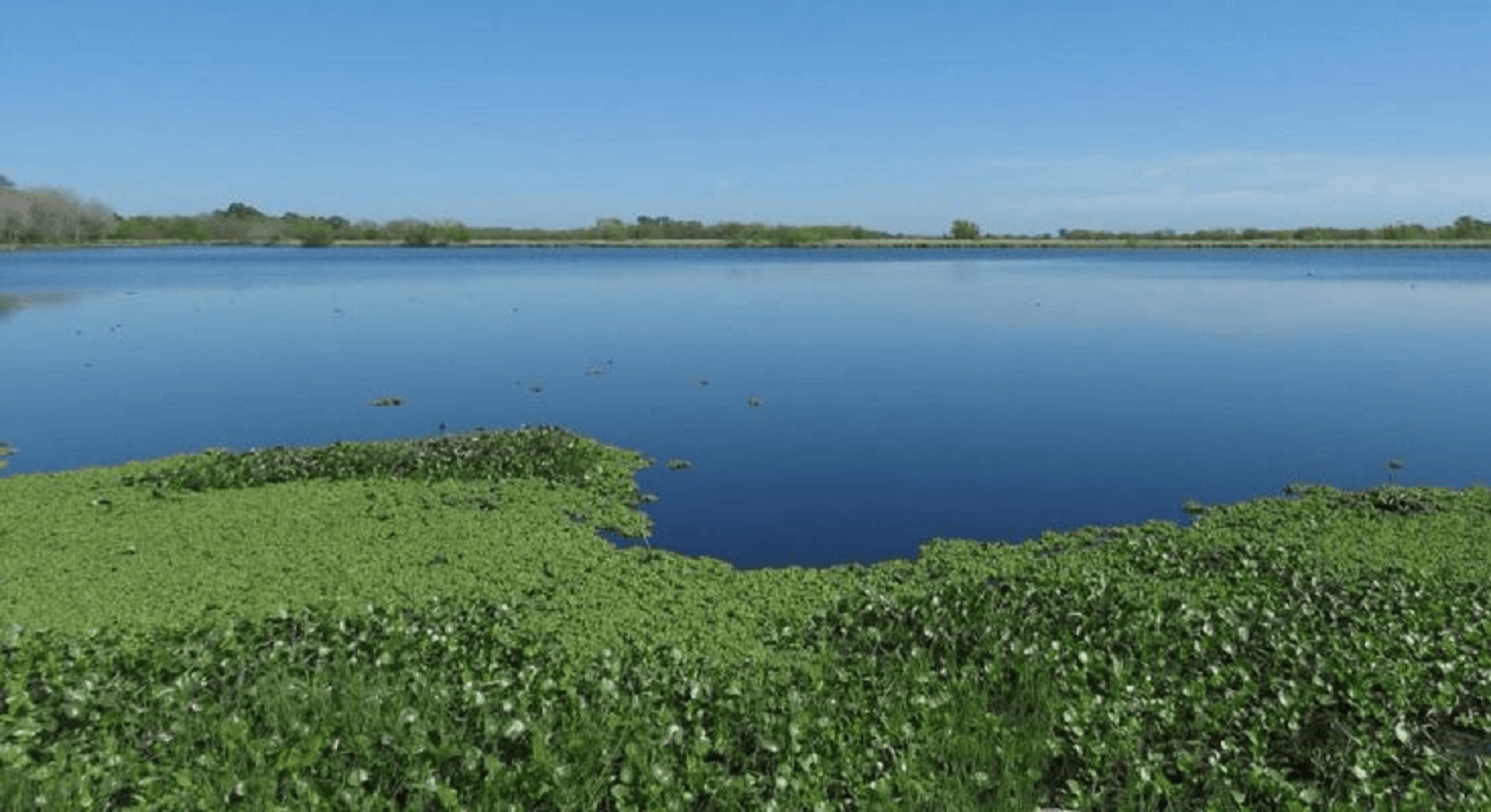 Está a pocos kilómetros de Capital y es ideal para visitar en familia (Imagen Reserva Natural Laguna de San Vicente).