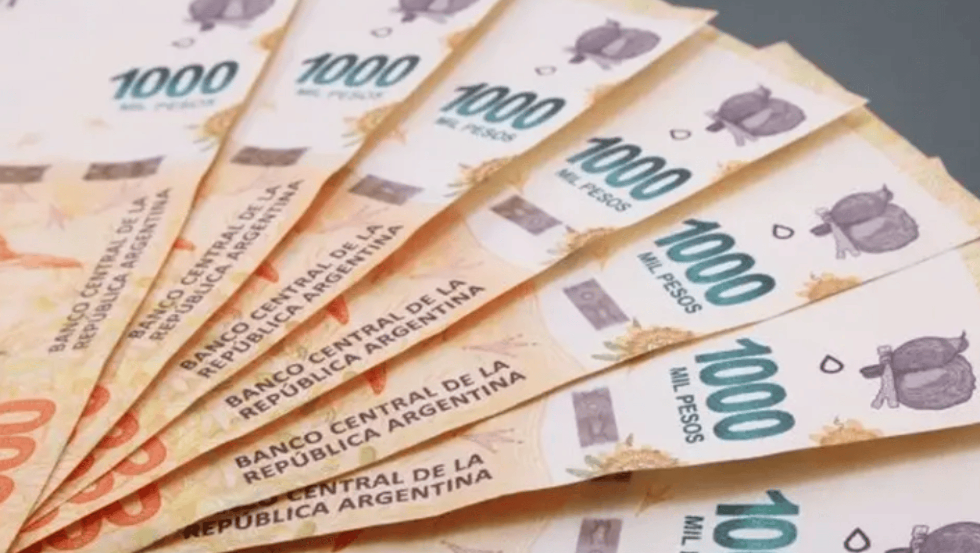 El   <a href='https://www.cronica.com.ar/tags/Plazo fijo'>Plazo fijo</a> tradicional le ganó terreno a su versión atada a la inflación.