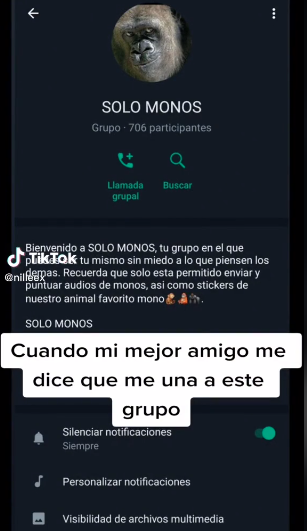 El grupo de Whatsapp sobre monos que es viral en   <a href='https://www.cronica.com.ar/tags/TikTok'>TikTok</a>.