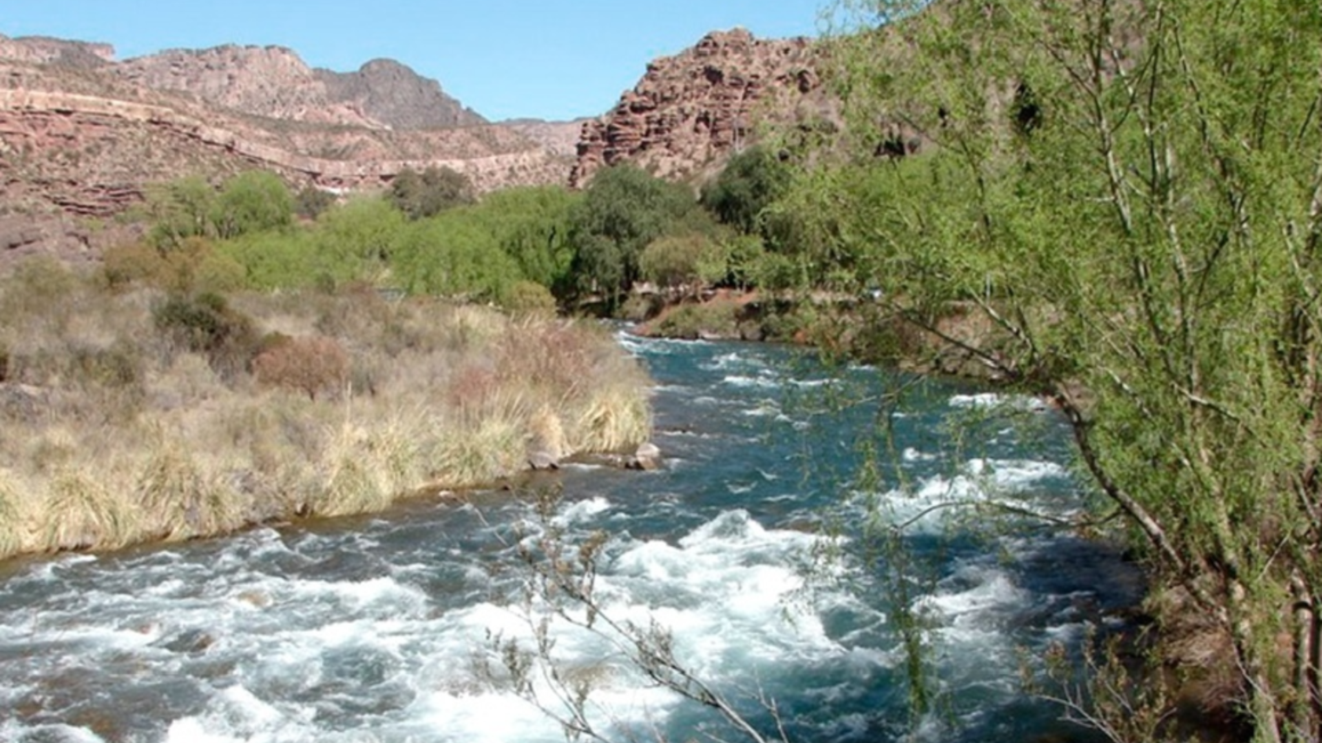 La turista de 63 años fue arrastrada por la corriente cuando intentaba cruzar el río Atuel, en Mendoza.