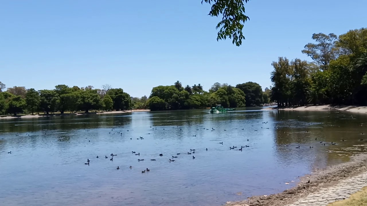 Lago de regatas.