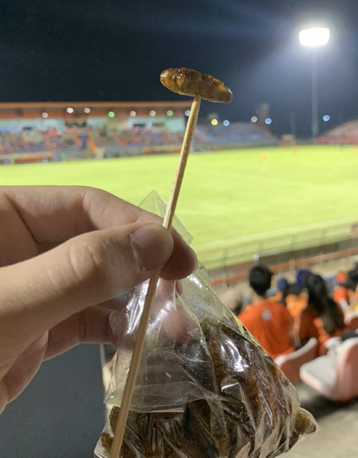 En Tailandia, venden insectos para comer en las canchas.