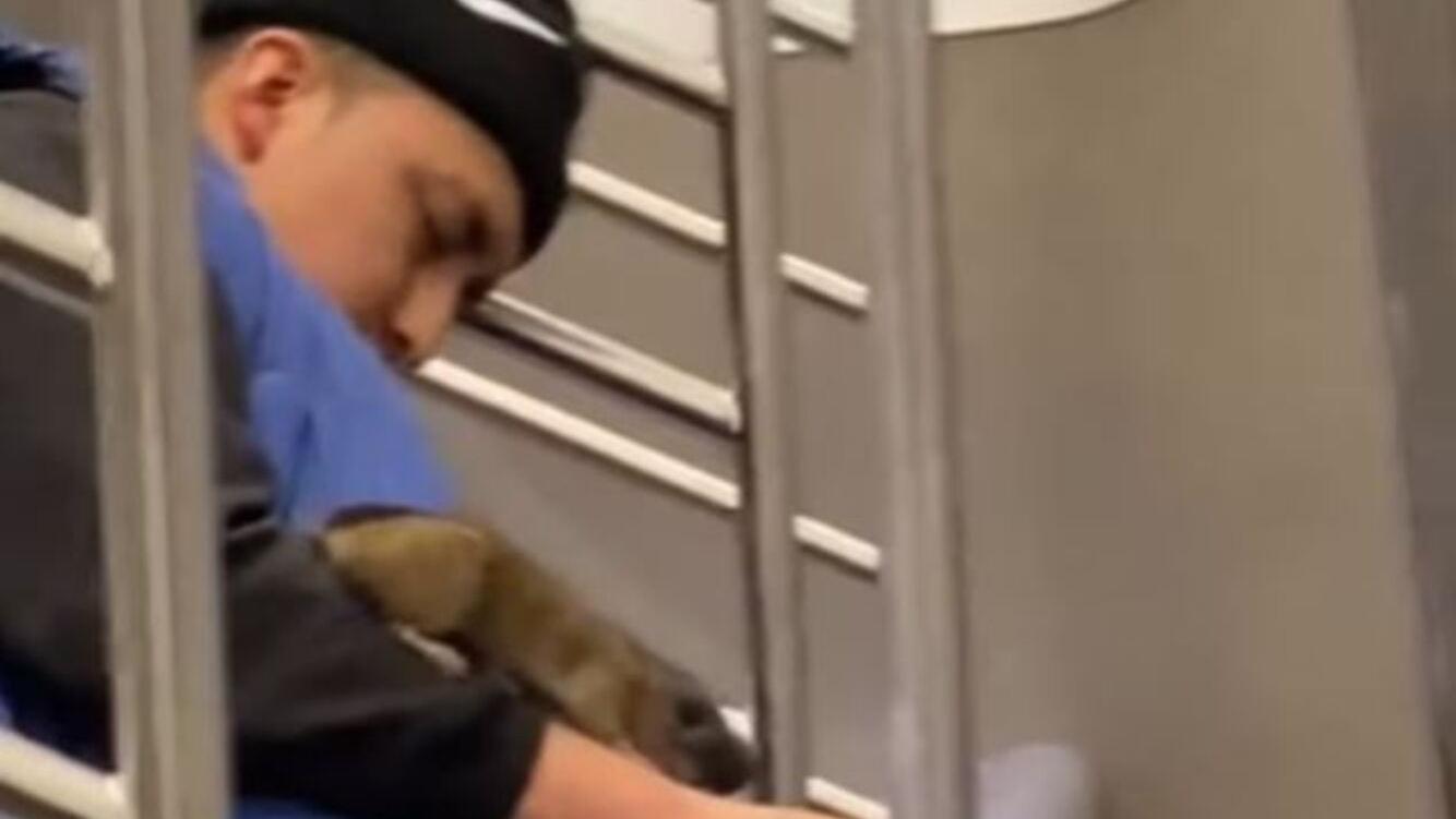 El asqueroso episodio tuvo lugar en un subte de Estados Unidos (TikTok).