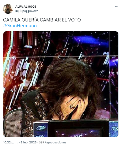 Los desopilantes memes por la nominación de Camila.