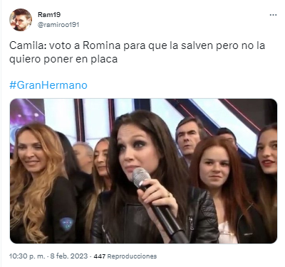 Los desopilantes memes por la nominación de Camila.